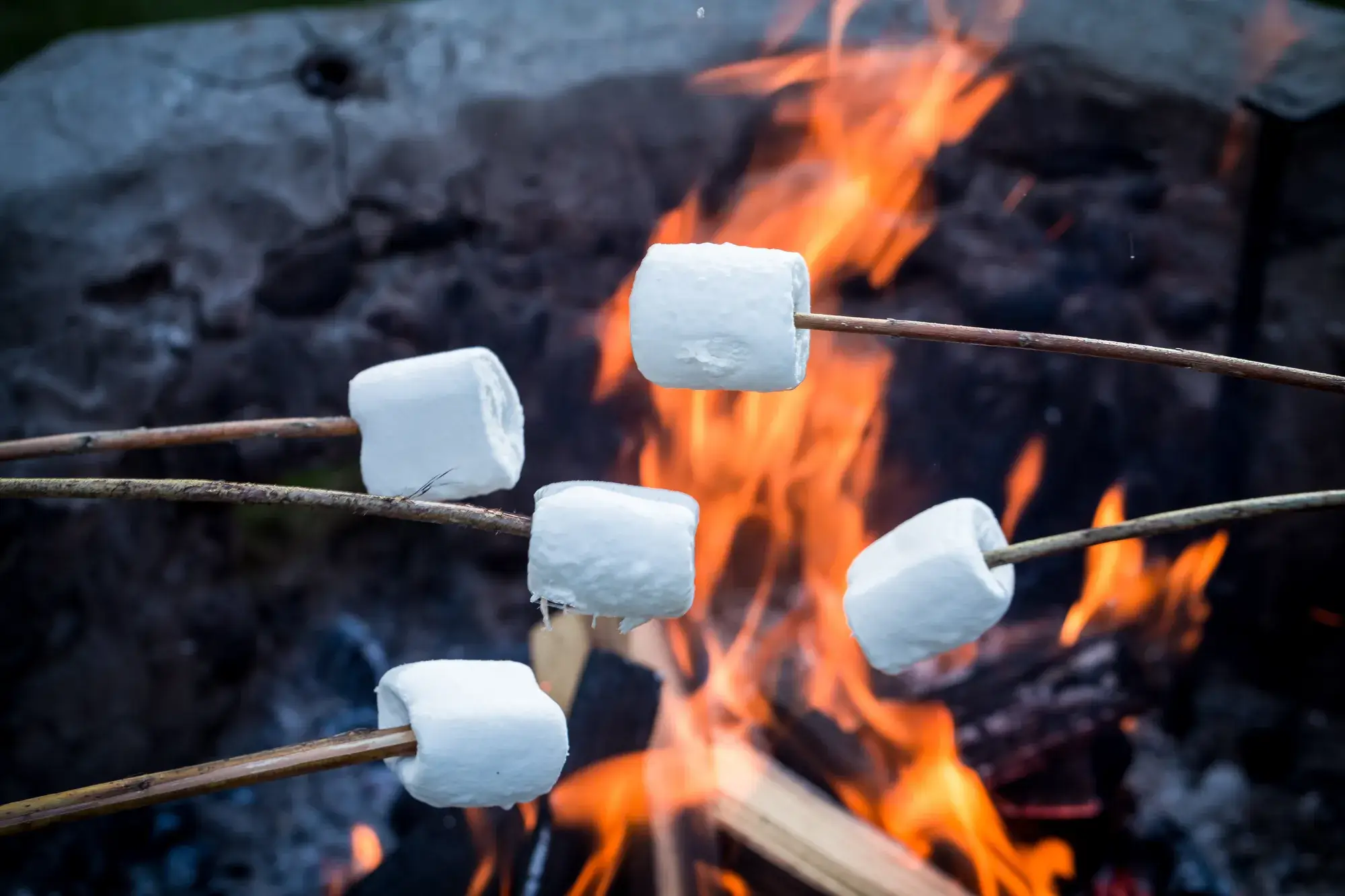 Het roosteren van marshmallows op de bbq